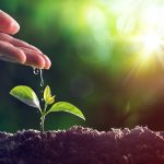 nature khabar, news portal